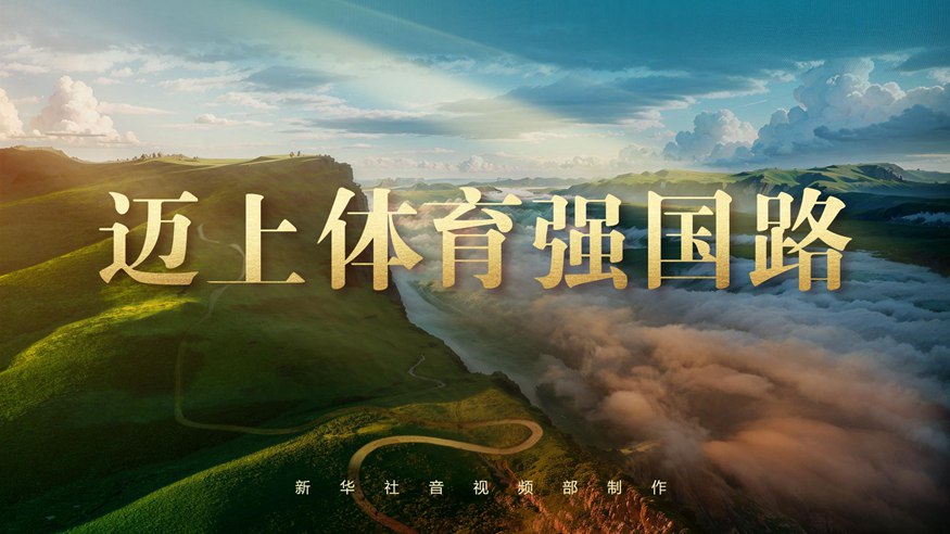 假球真相